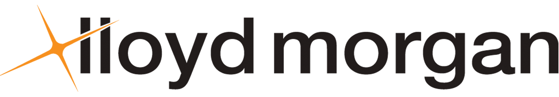 Lloyd Morgan Hong Kong Limited